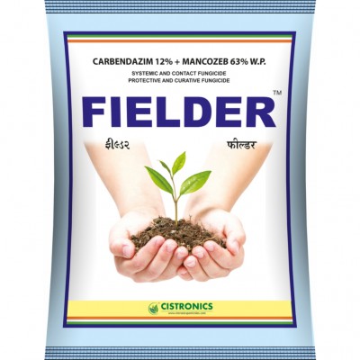 Fielder