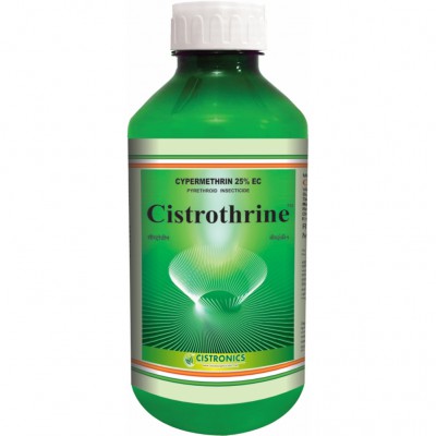 Cistrothrine