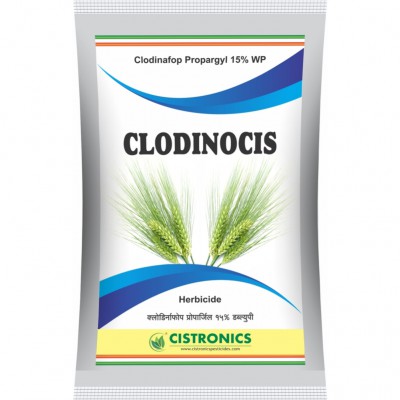 Clodinocis