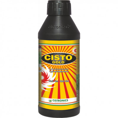 Cisto Gold L